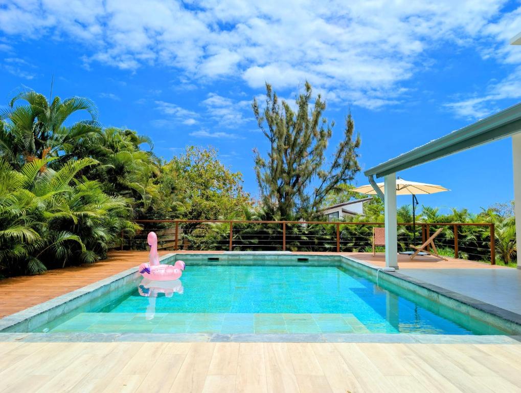 Piscine turquoise entourée du jardin tropical