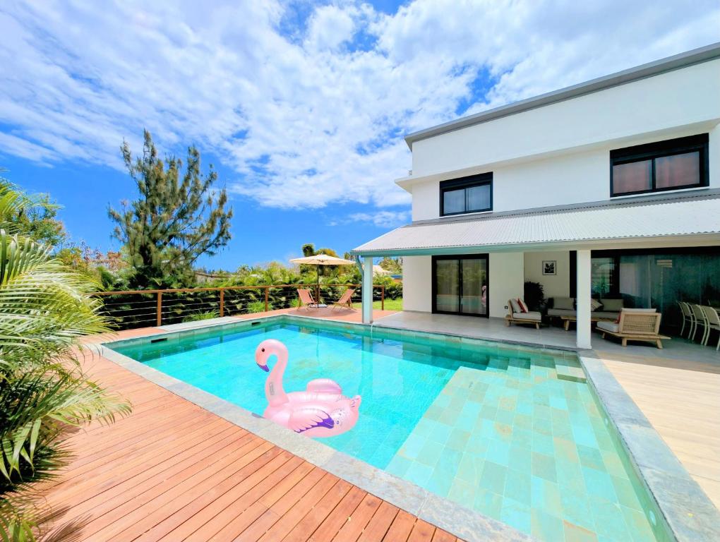 Piscine vue du jardin tropical